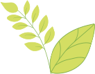 Leaf Icon