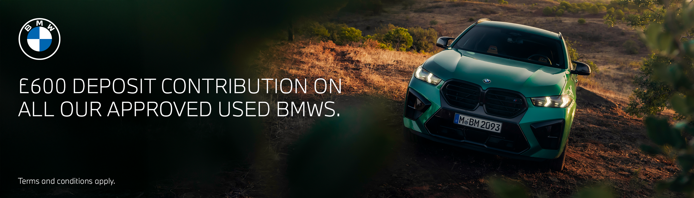 BMW AUC Offer