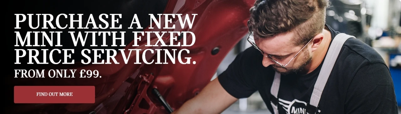 HJ MINI New Car Service Inclusive Offer - Banners Banner