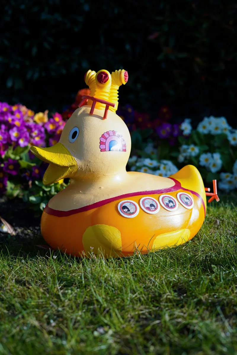 Making a Splash at the Countess of Chester Duck Race 2025! - Image 933805/3