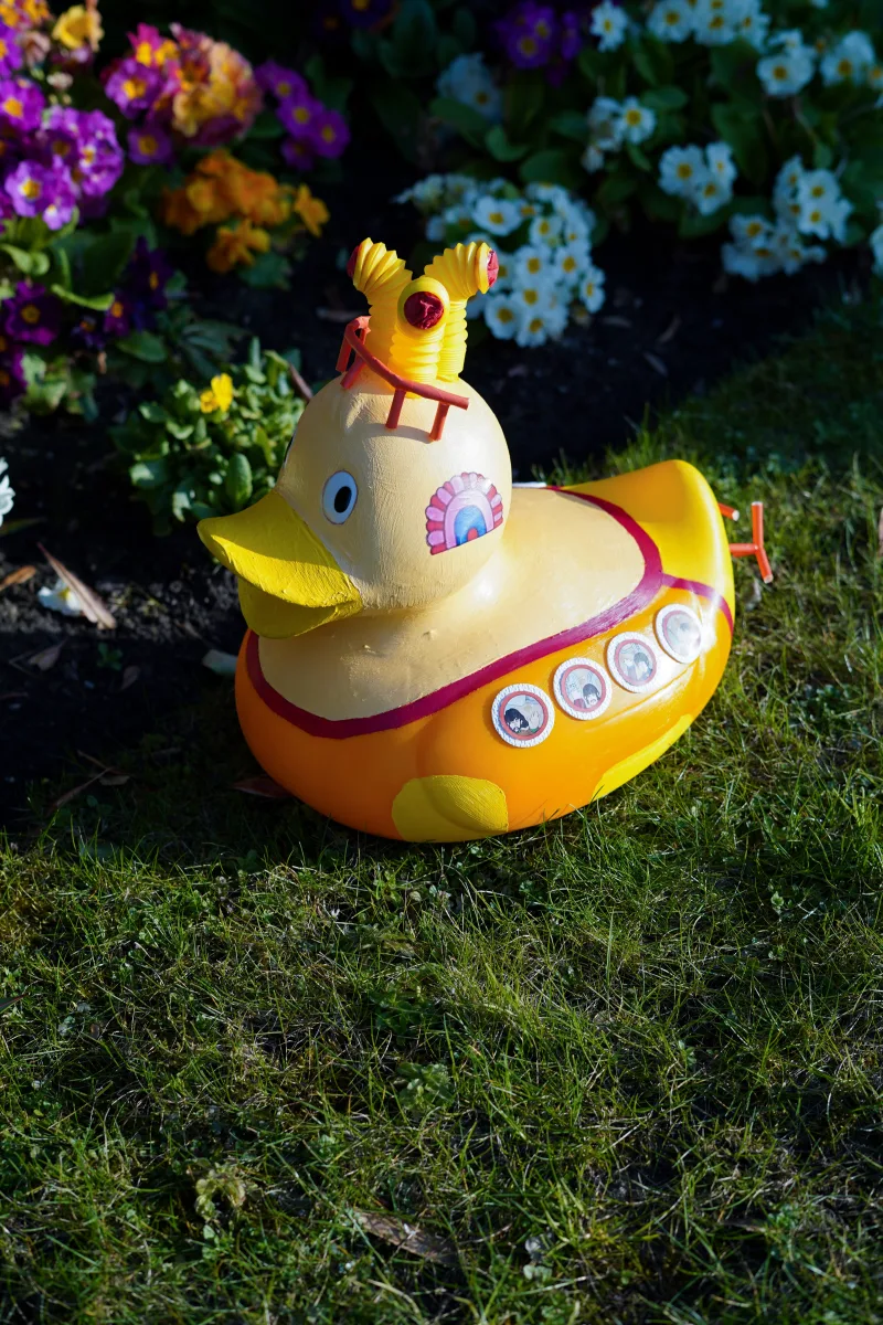 Making a Splash at the Countess of Chester Duck Race 2025! - Image 933805/2