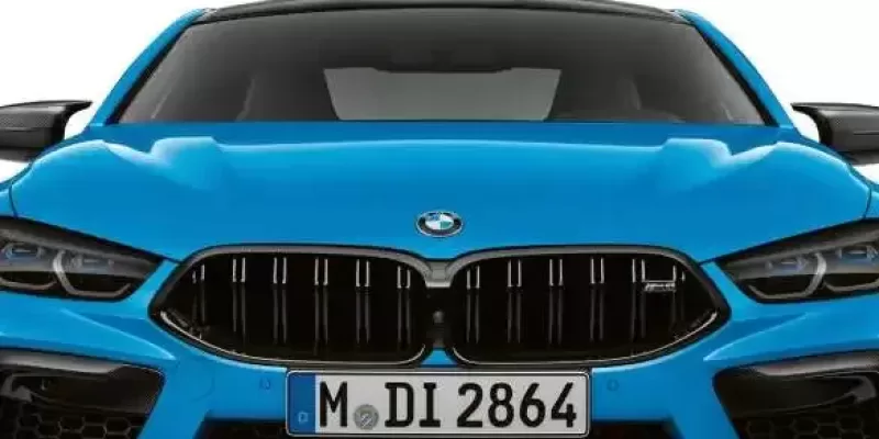 M specific kidney grille.