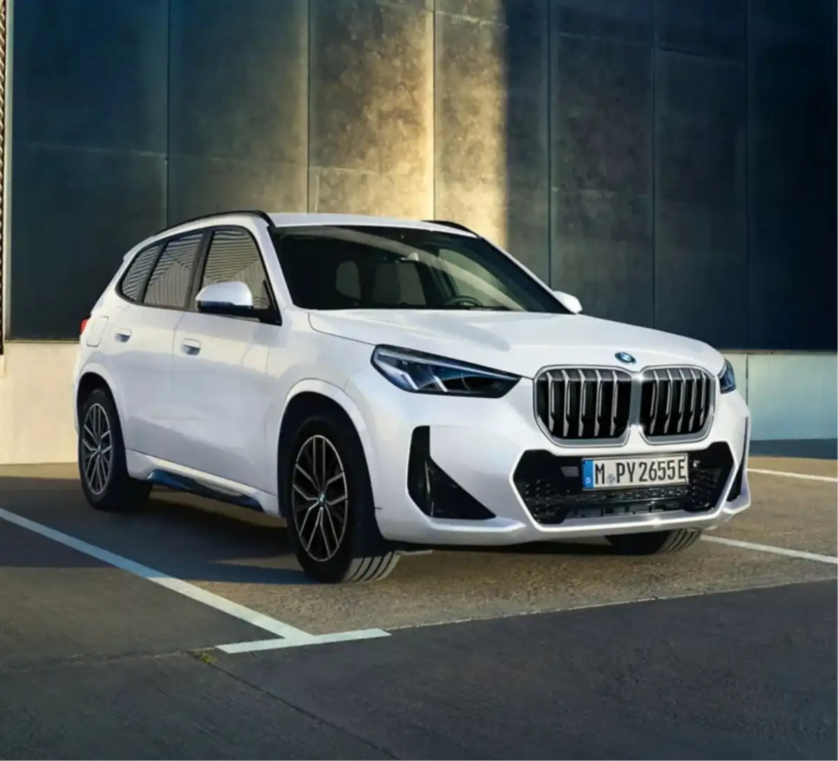 BMW X1 image