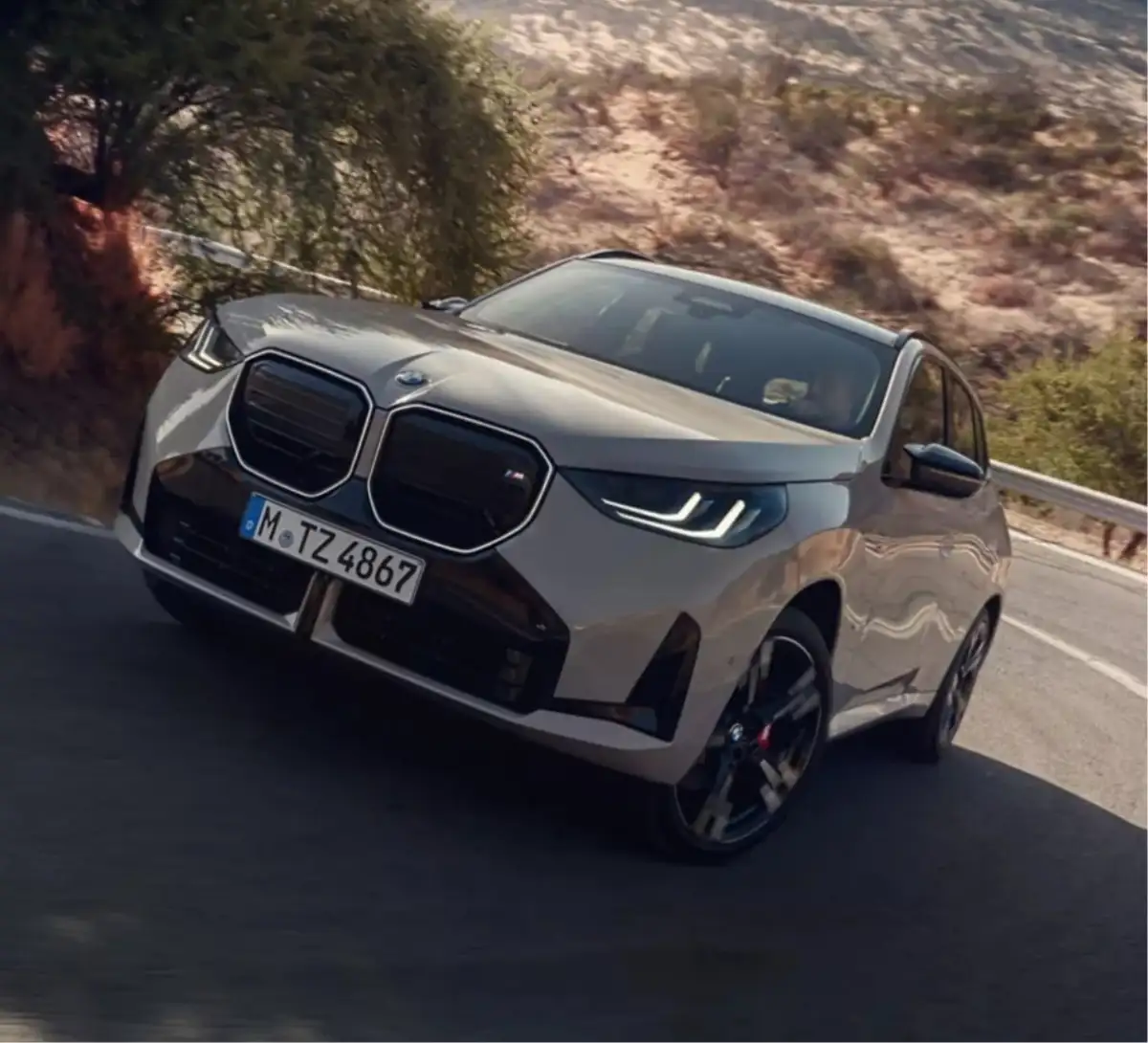 BMW X3 image