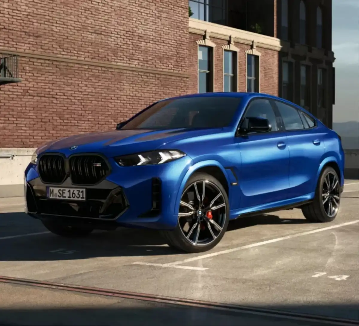 BMW X6 image