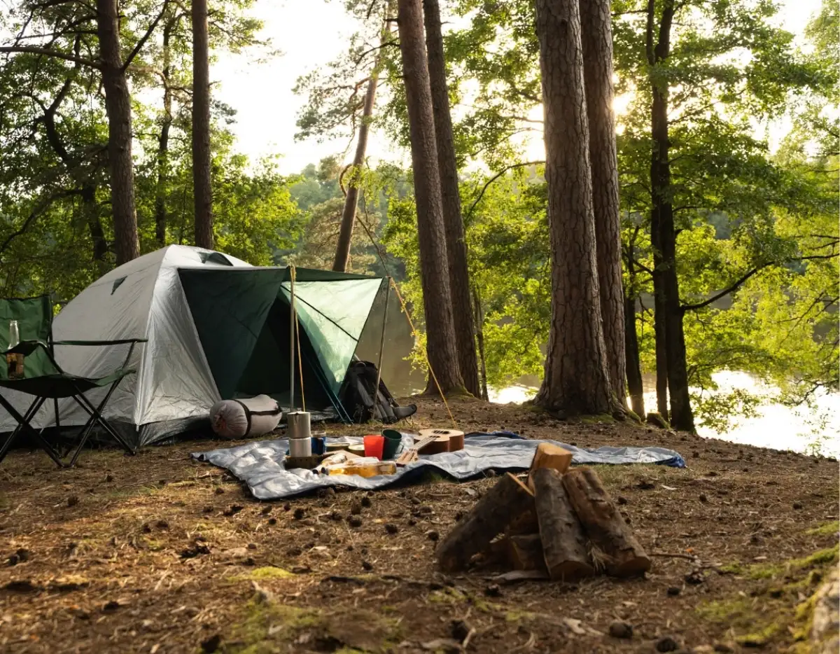 Summer Camping Vibes with BYD image