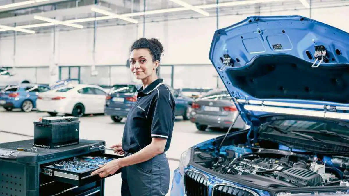 BMW MOT Protect image