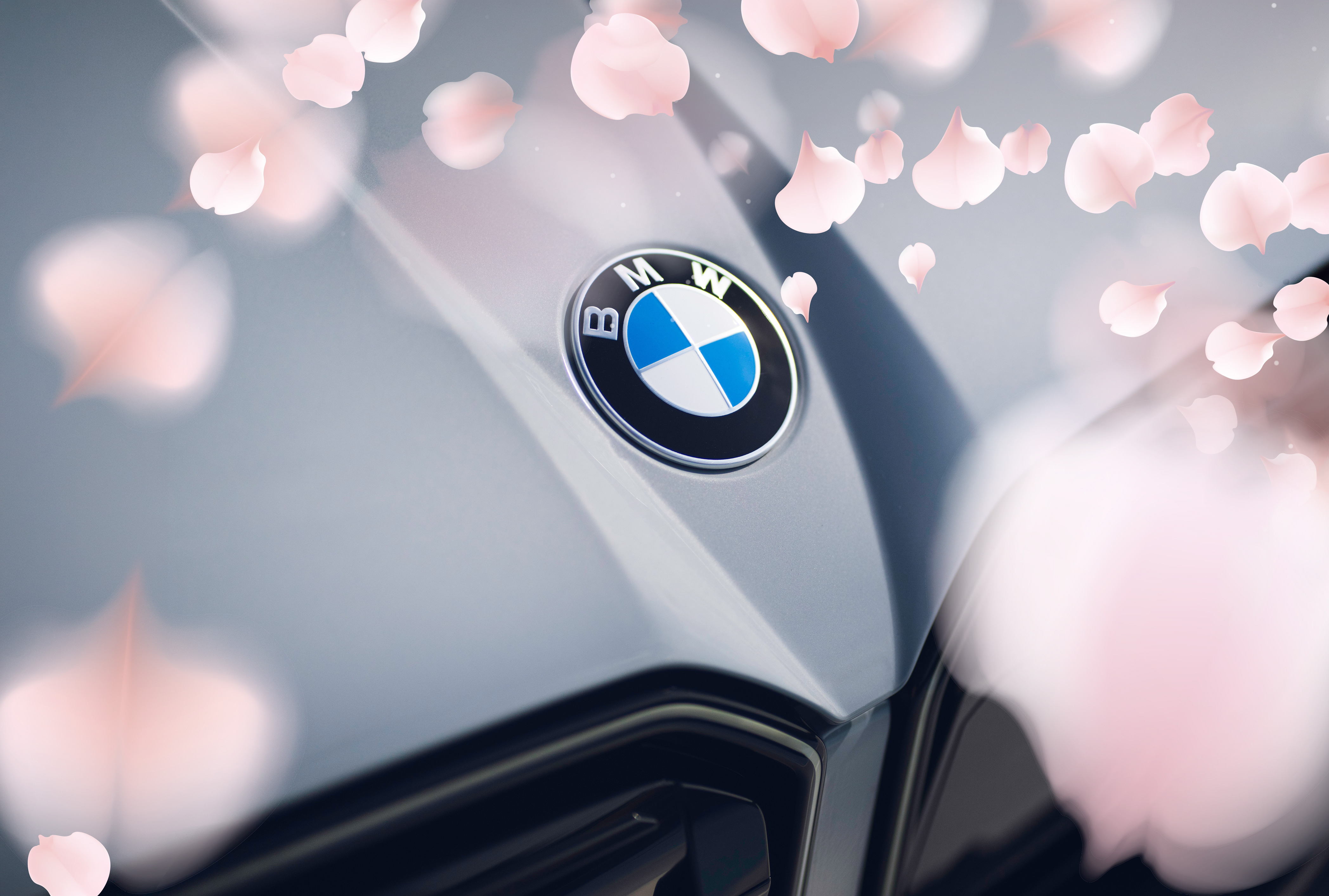 BMW Spring Sale